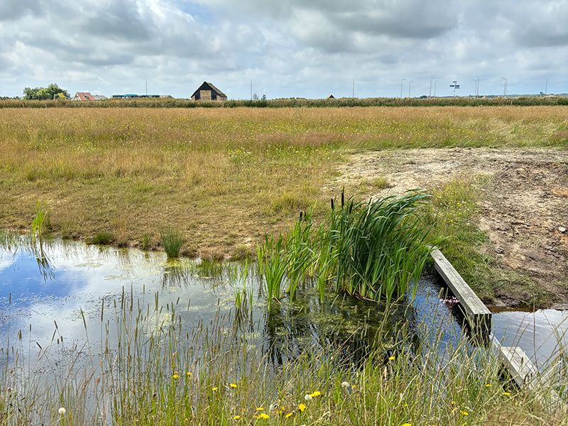 Kies je ook voor het hart van het eiland? - image